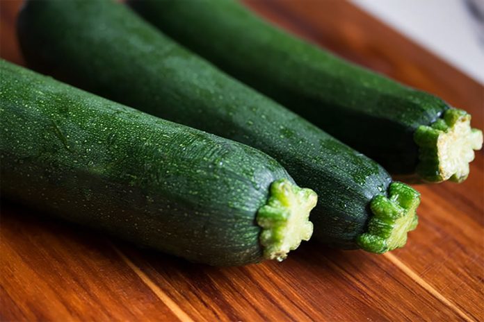 cucumber plant stages