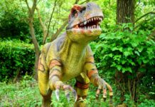 what dinosaur has 500 teeth