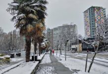 vancouver snow