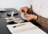 How Much Money Do You Need to Live Comfortably in Canada?