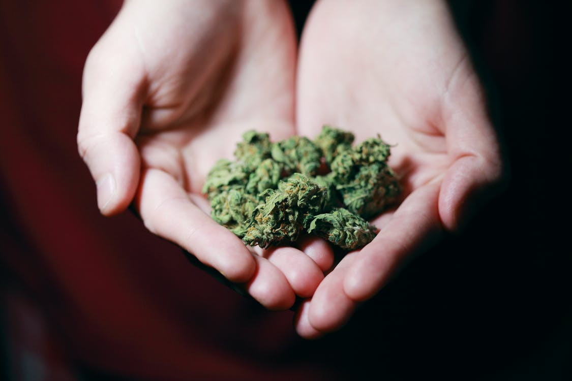 Best Exotic Weed Strains To Try In 2022 - A Best Fashion