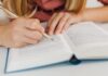 essay writer free online