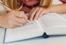 essay writer free online