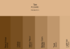 colors that make tan