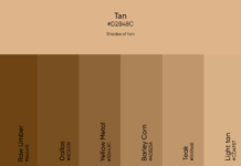 colors that make tan