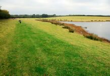 How much is 28.8 acres of land