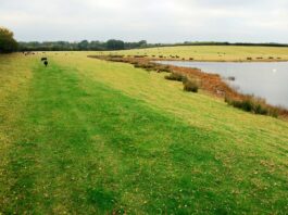 How much is 28.8 acres of land