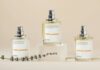 creed cologne dossier.co