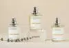 creed cologne dossier.co