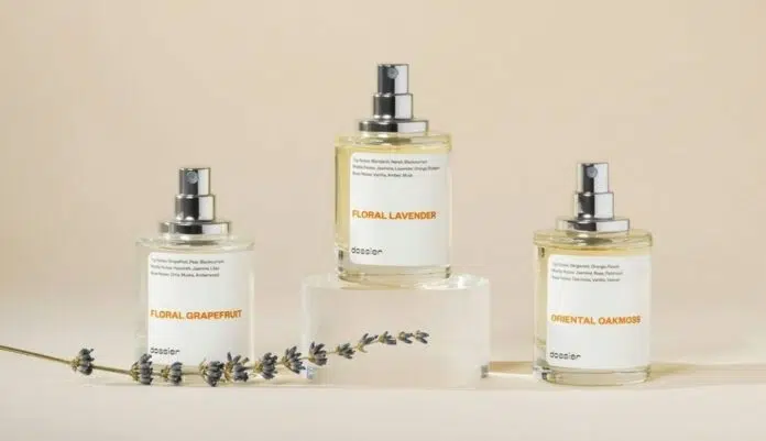 creed cologne dossier.co