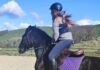 BRACES FOR HORSES