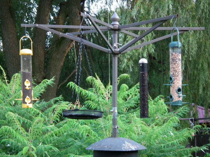 Bird Feeder Stand