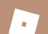 Aesthetic Roblox Icon