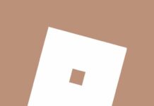 Aesthetic Roblox Icon