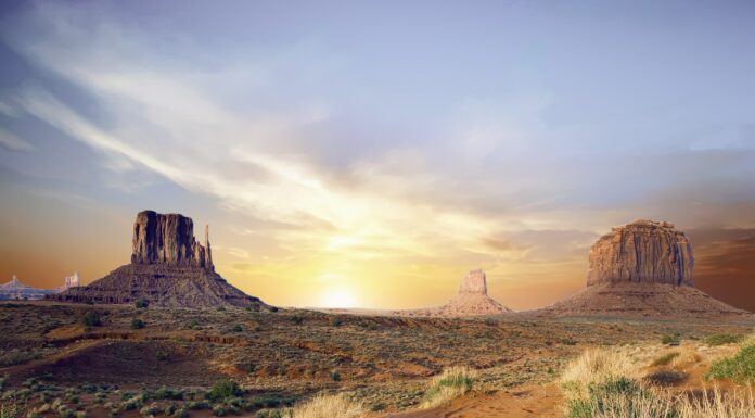 Resident Of Arizona