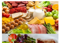 omnivore diet