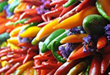 Takis Scoville