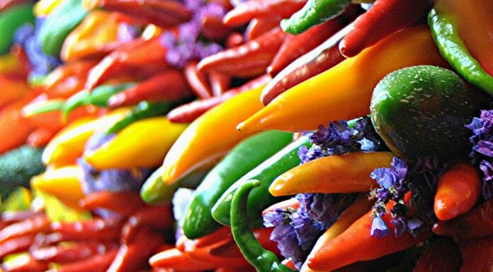 Takis Scoville