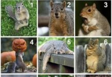 On a scale of how are you feeling today?
