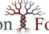 Sorenson forensics consulting: Review