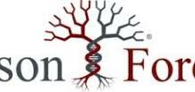 Sorenson forensics consulting: Review