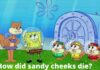 How Did Sandy Cheeks Die Suddenly?