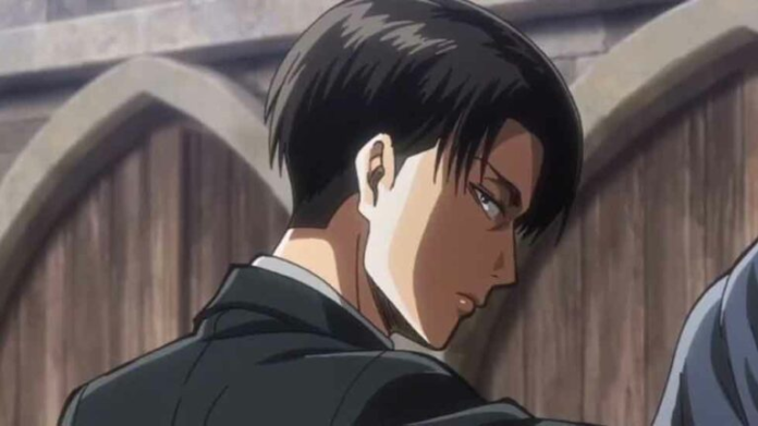 how tall is levi