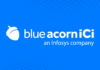 is blue acorn legitimate