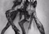 What is a Skinwalkers Weakness