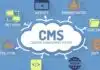 popular content management system