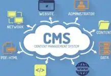 popular content management system