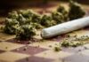 Science Behind Marijuana