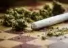 Science Behind Marijuana