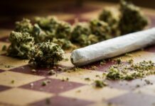 Science Behind Marijuana