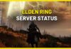 Elden ring server maintenance
