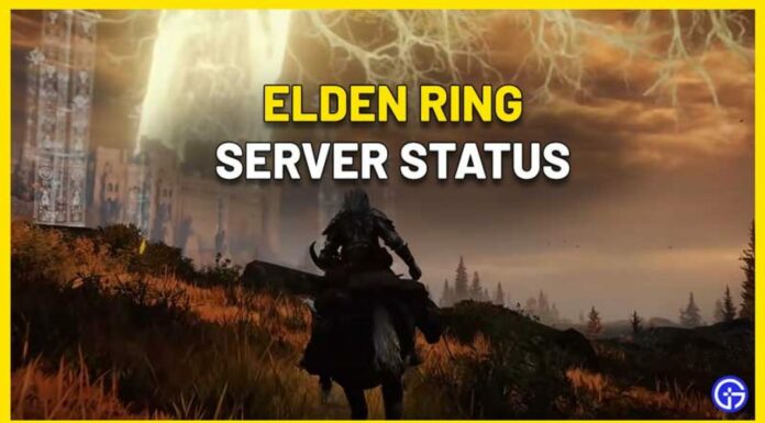 Elden ring server maintenance