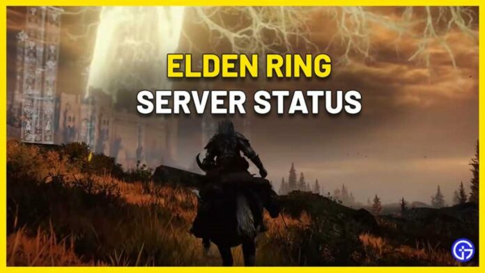 Elden ring server maintenance