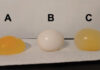OSMOSIS EGG EXPERIMENT