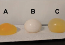 OSMOSIS EGG EXPERIMENT