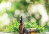 cbd massage