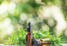cbd massage