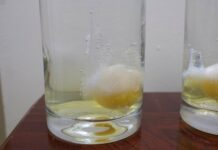 egg cleansing