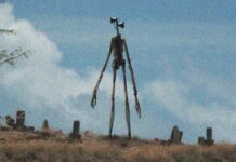 is sirenhead real