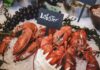 Can Lobsters feel Pain