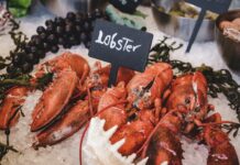 Can Lobsters feel Pain