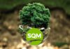 sqm club