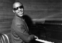 stevie wonder net worth