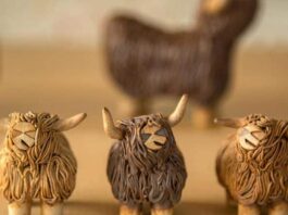 Gift Of A Highland Cow