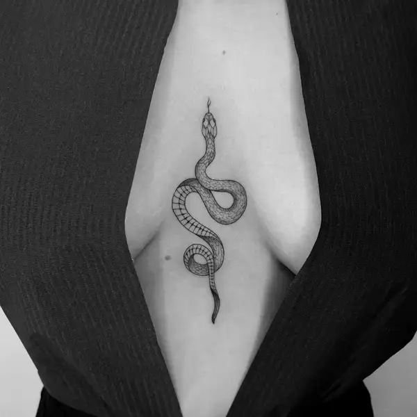 The design of a snake tattoo 
