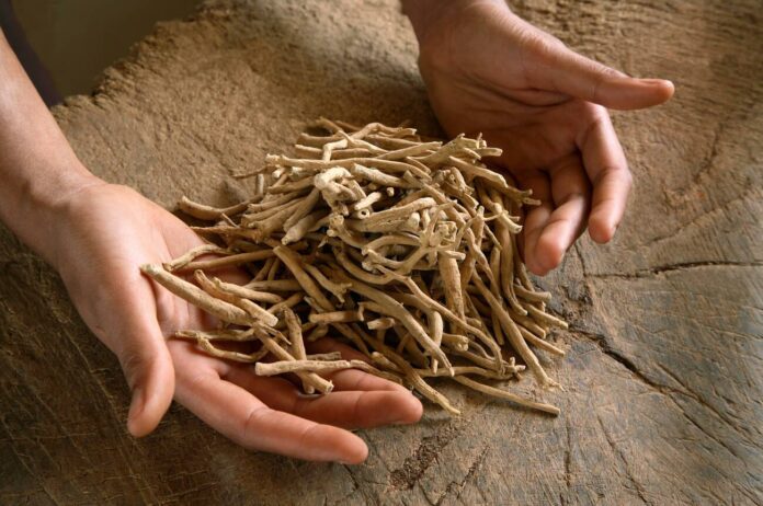 Does Ashwagandha Make You Horny